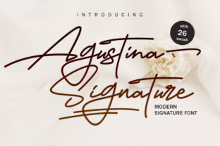 Agustina Signature: A Romantic Script for Branding Projects