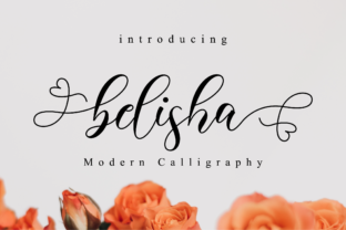 Belisha: A Modern Script Font for Brand Campaigns