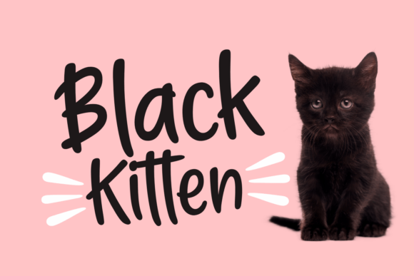 Black Kitten: A Modern Handwritten Font for Web Projects