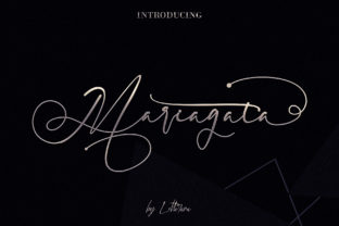 How Mariagata Transformed My Campaign Visuals